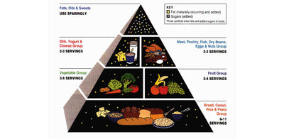 Benefits of Healthy foods and an Active Lifestyle